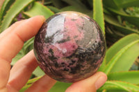 Polished Rhodonite Spheres x 4 From Madagascar - Toprock Gemstones and Minerals 