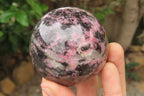 Polished Rhodonite Spheres x 4 From Madagascar - Toprock Gemstones and Minerals 