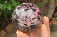 Polished Rhodonite Spheres x 4 From Madagascar - Toprock Gemstones and Minerals 