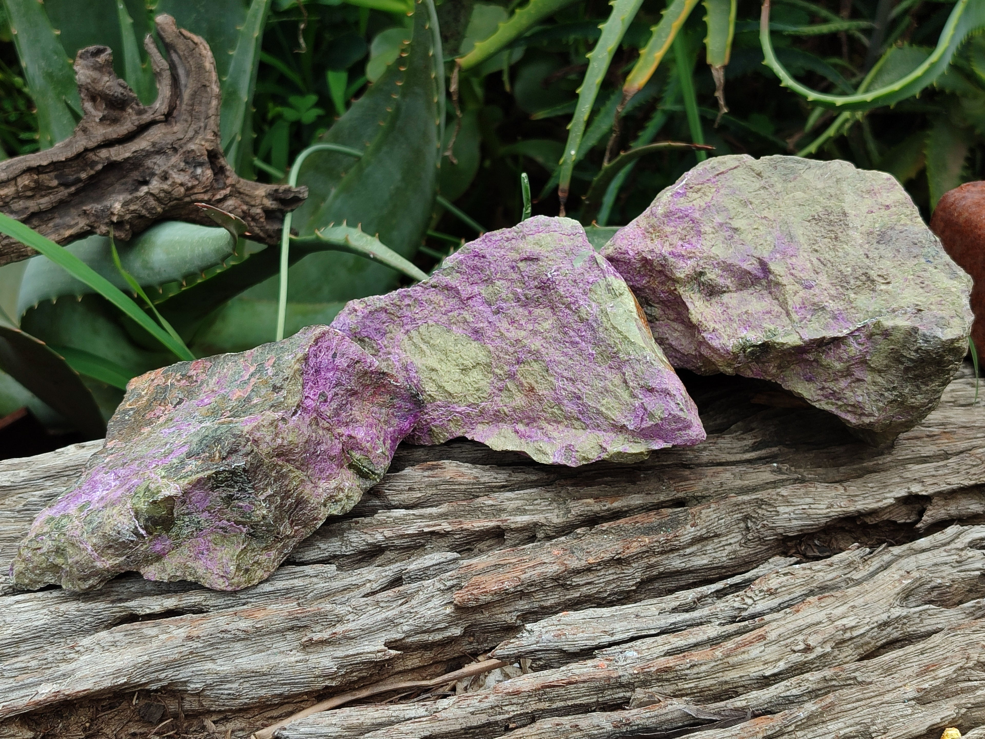 Natural Stichtite Cobbed Specimens x 5 From Barberton, South Africa - Toprock Gemstones and Minerals 