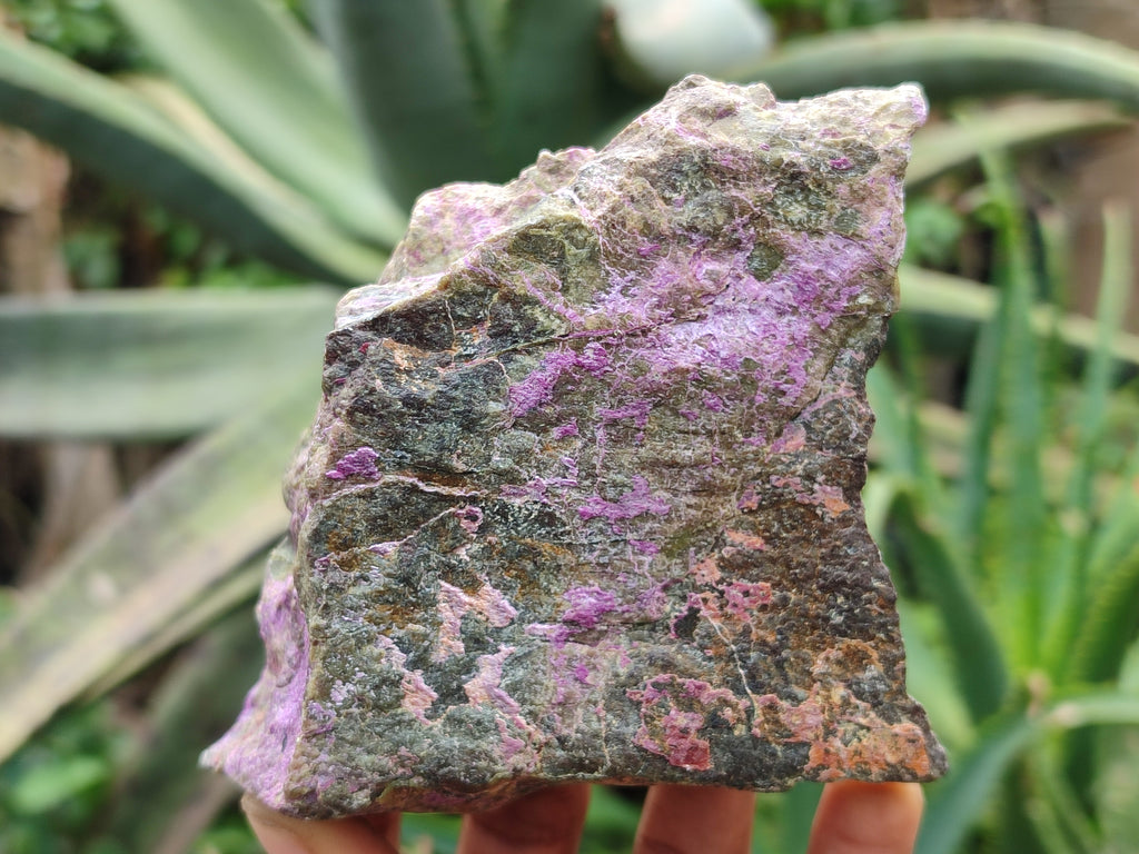 Natural Stichtite Cobbed Specimens x 5 From Barberton, South Africa - Toprock Gemstones and Minerals 