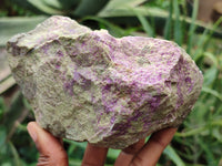Natural Stichtite Cobbed Specimens x 5 From Barberton, South Africa - Toprock Gemstones and Minerals 
