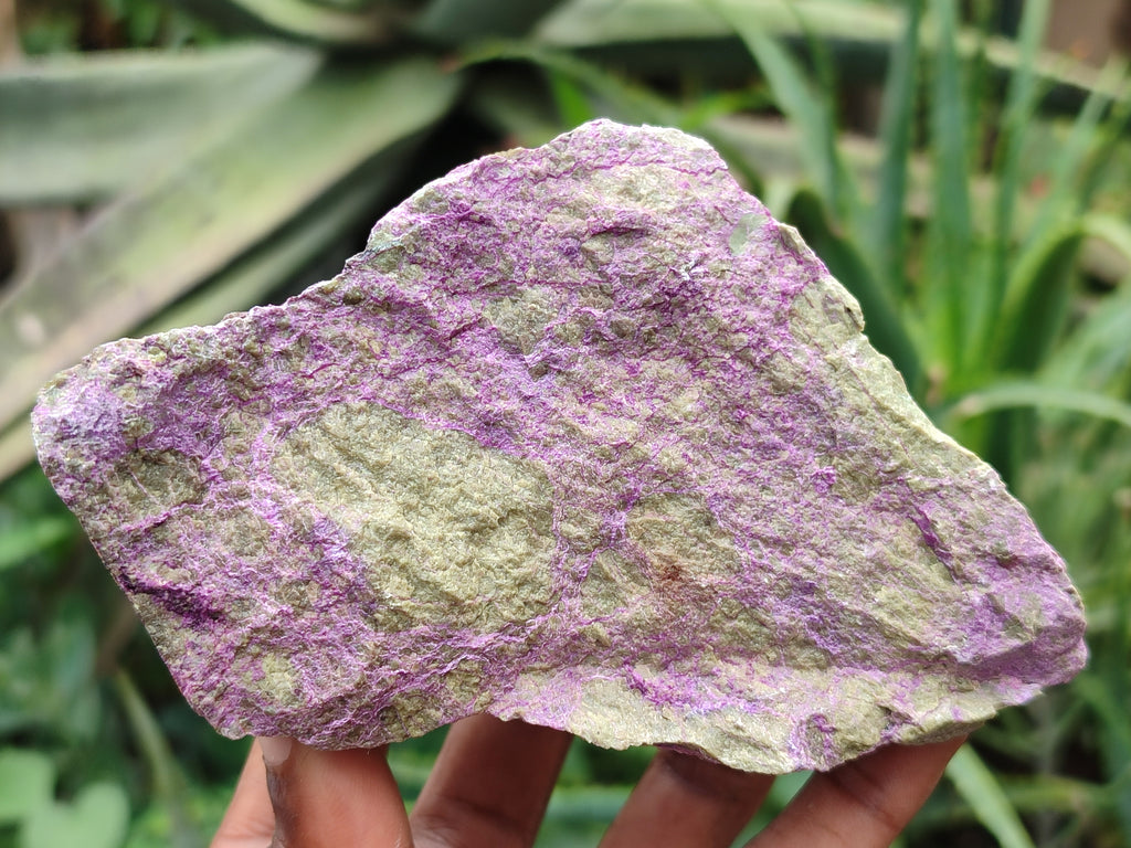Natural Stichtite Cobbed Specimens x 5 From Barberton, South Africa - Toprock Gemstones and Minerals 