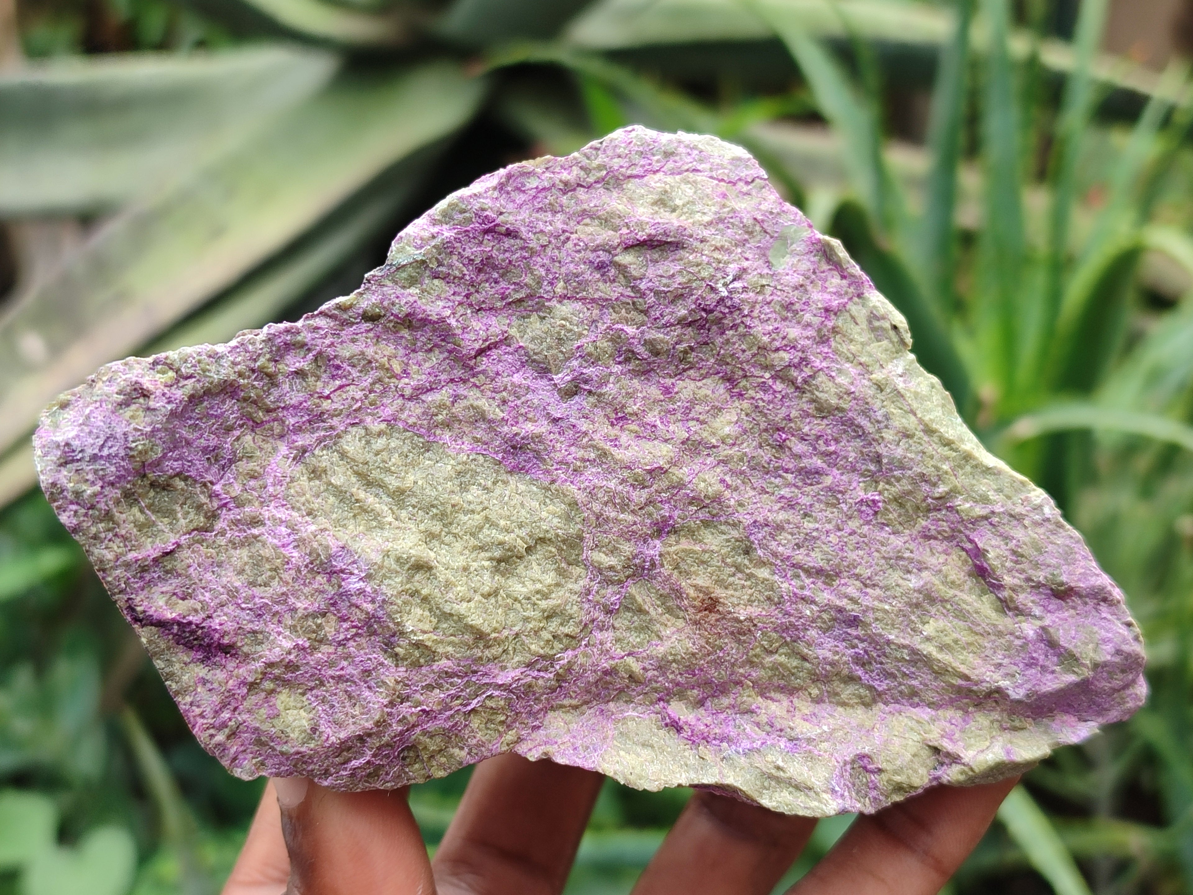 Natural Stichtite Cobbed Specimens x 5 From Barberton, South Africa - Toprock Gemstones and Minerals 