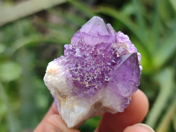 Natural Spirit Quartz Clusters x 20 From Boekenhouthoek, South Africa - Toprock Gemstones and Minerals 