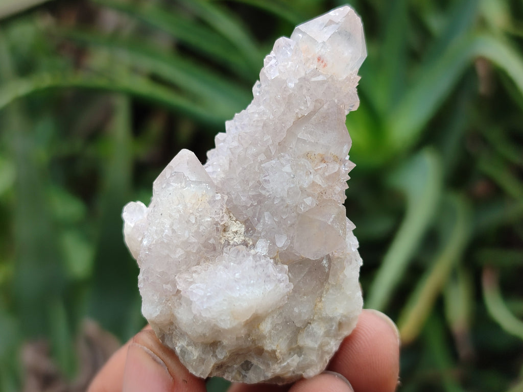 Natural Spirit Quartz Clusters x 20 From Boekenhouthoek, South Africa - Toprock Gemstones and Minerals 