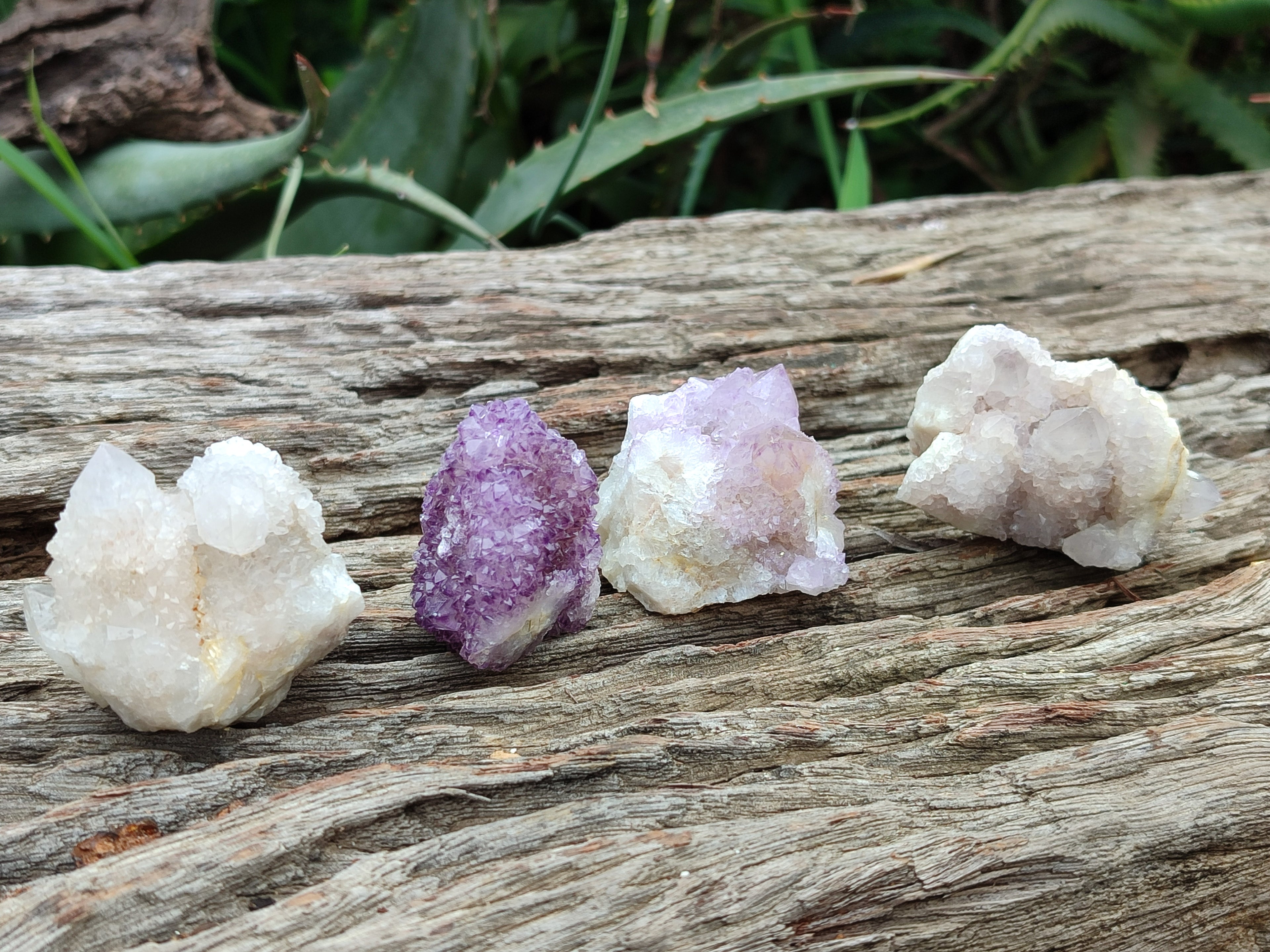Natural Spirit Quartz Clusters x 20 From Boekenhouthoek, South Africa - Toprock Gemstones and Minerals 