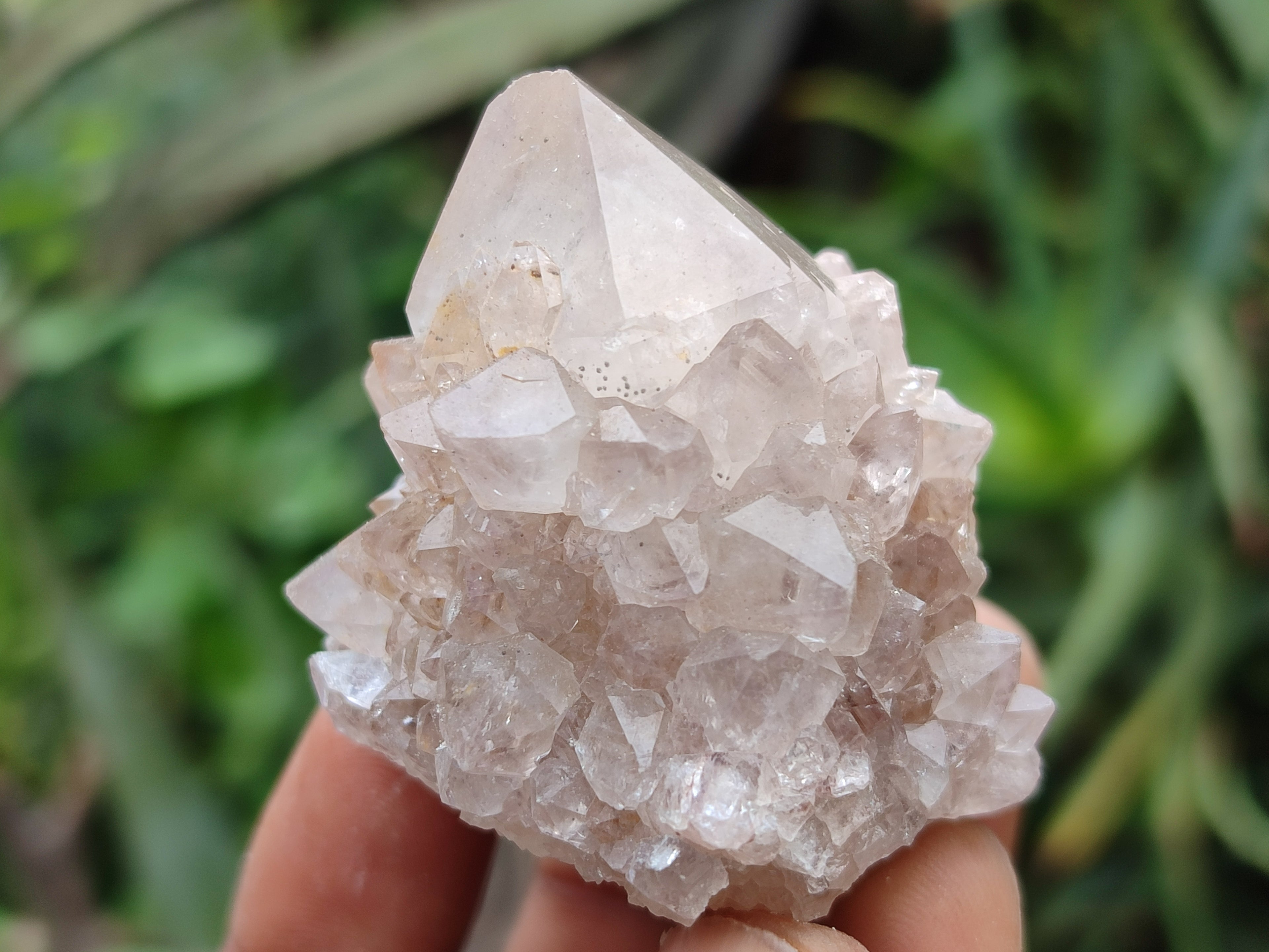 Natural Spirit Quartz Clusters x 20 From Boekenhouthoek, South Africa - Toprock Gemstones and Minerals 