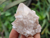 Natural Spirit Quartz Clusters x 20 From Boekenhouthoek, South Africa - Toprock Gemstones and Minerals 