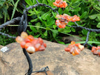 Hand Made Carnelian Wire Wrap Tree - Sold per Item - From KwaZulu Natal, South Africa - Toprock Gemstones and Minerals 