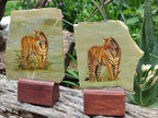 Hand Made Tiger Decoupage on Butter Jade Stone Slabs - sold per item - From South Africa - Toprock Gemstones and Minerals 