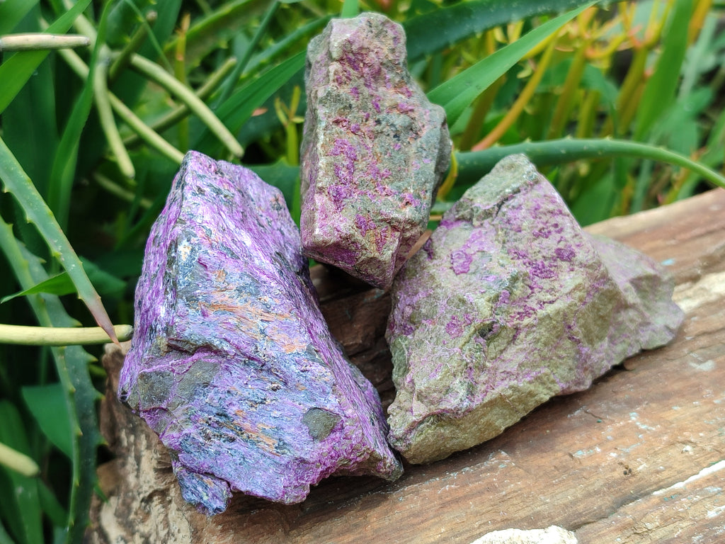 Natural Stichtite Cobbed Specimens x 12 From Barberton, South Africa - Toprock Gemstones and Minerals 