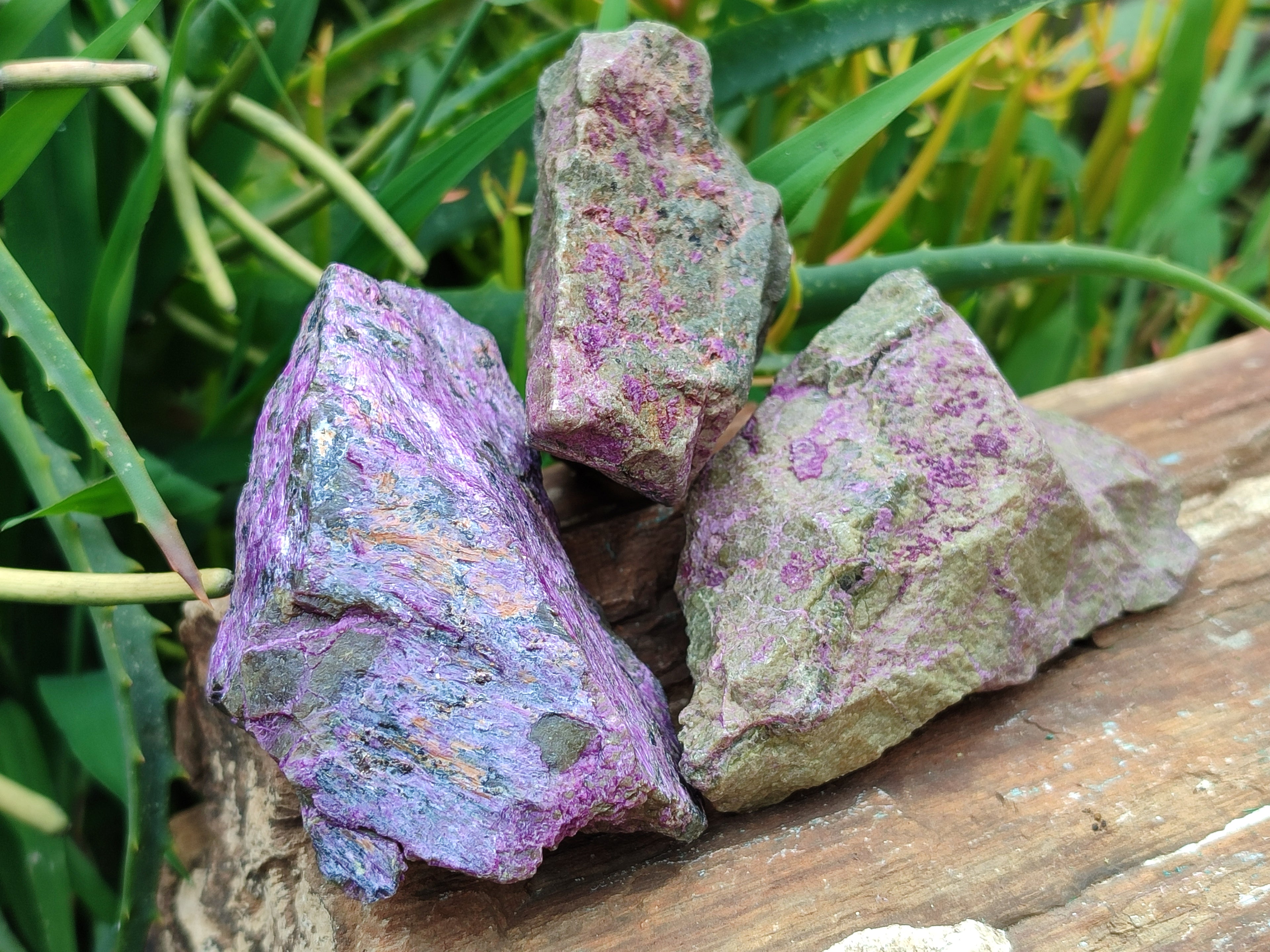 Natural Stichtite Cobbed Specimens x 12 From Barberton, South Africa - Toprock Gemstones and Minerals 