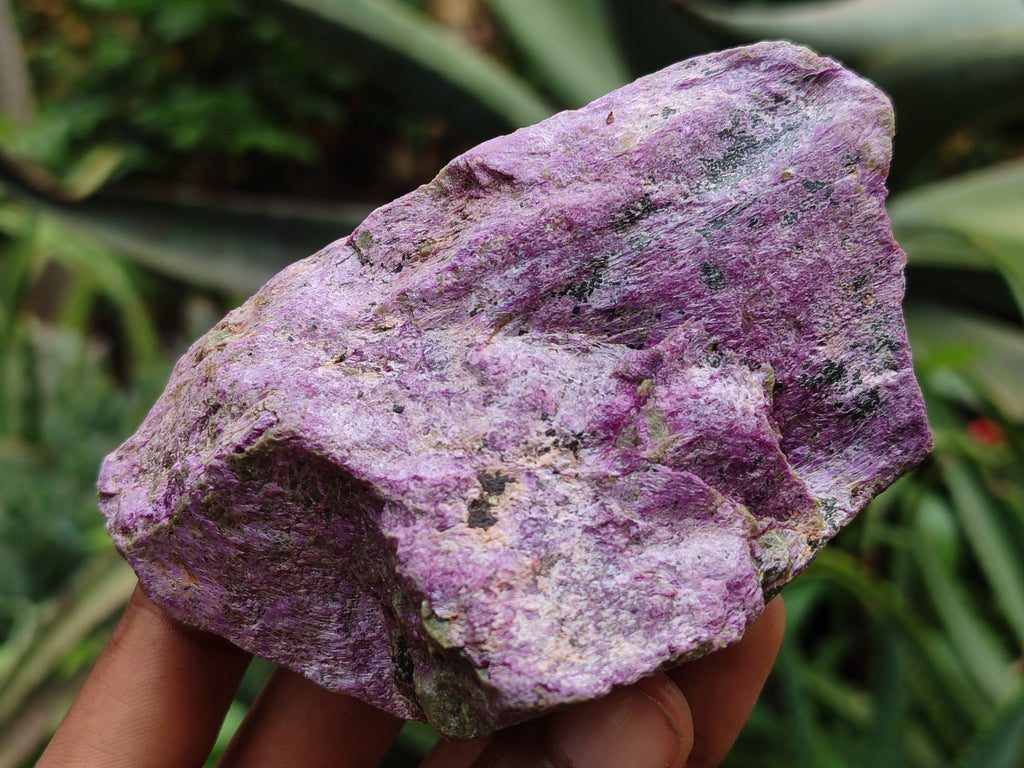 Natural Stichtite Cobbed Specimens x 12 From Barberton, South Africa - Toprock Gemstones and Minerals 