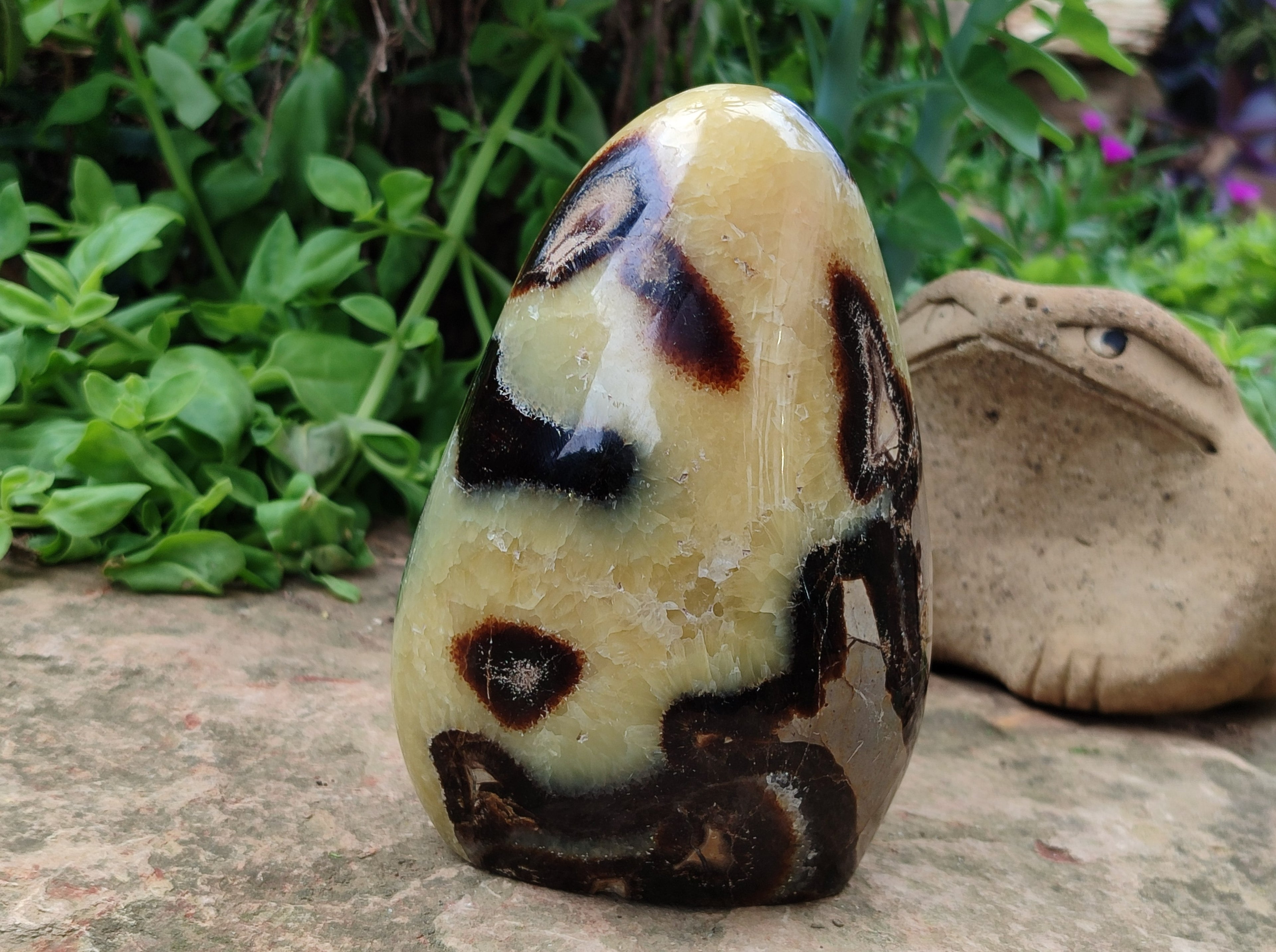 Polished Septerye Standing Free Form x 1 From Mahajanga, Madagascar - Toprock Gemstones and Minerals 