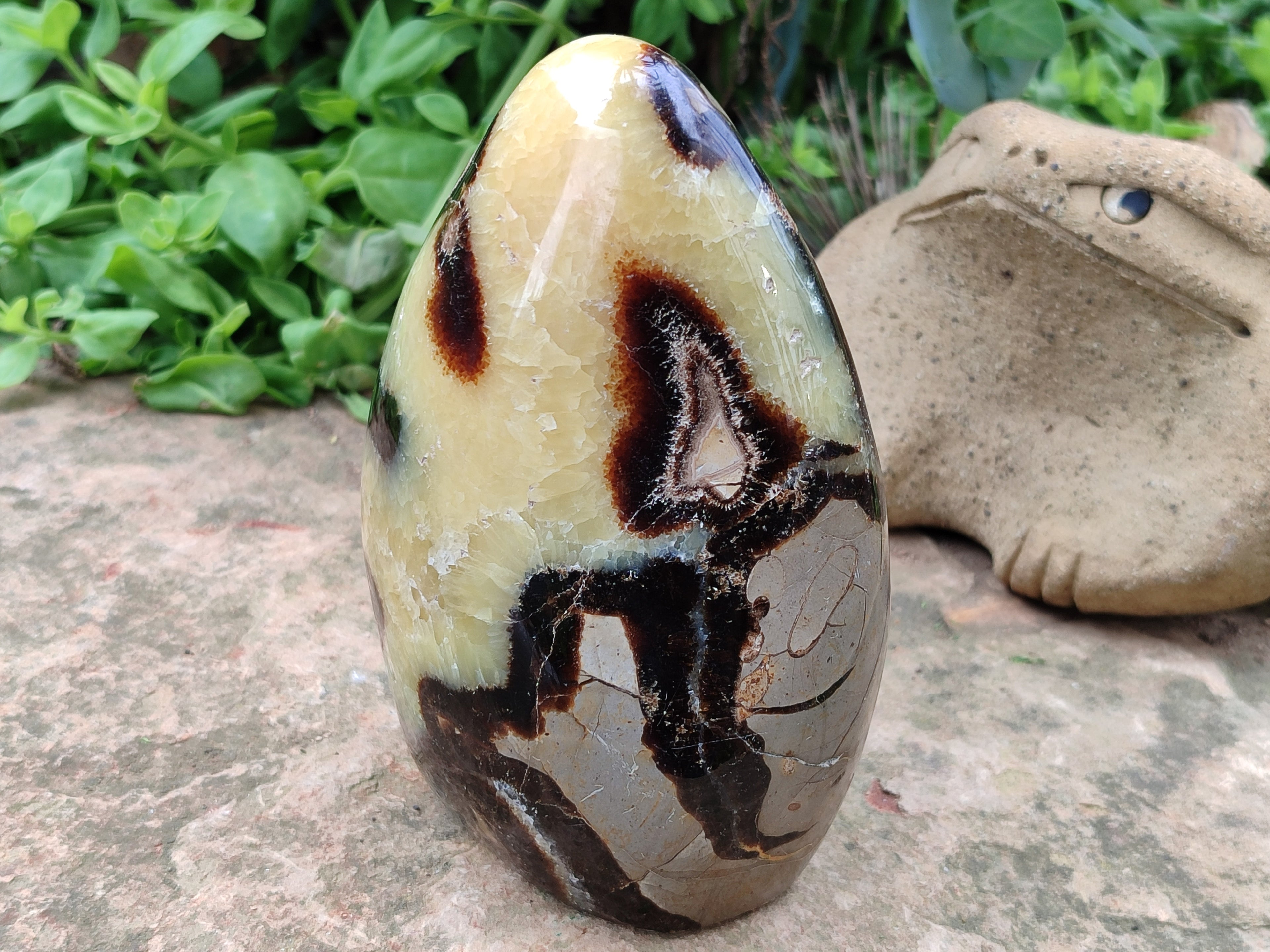 Polished Septerye Standing Free Form x 1 From Mahajanga, Madagascar - Toprock Gemstones and Minerals 