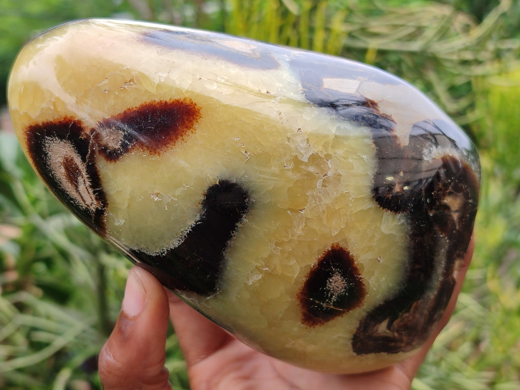 Polished Septerye Standing Free Form x 1 From Mahajanga, Madagascar - Toprock Gemstones and Minerals 