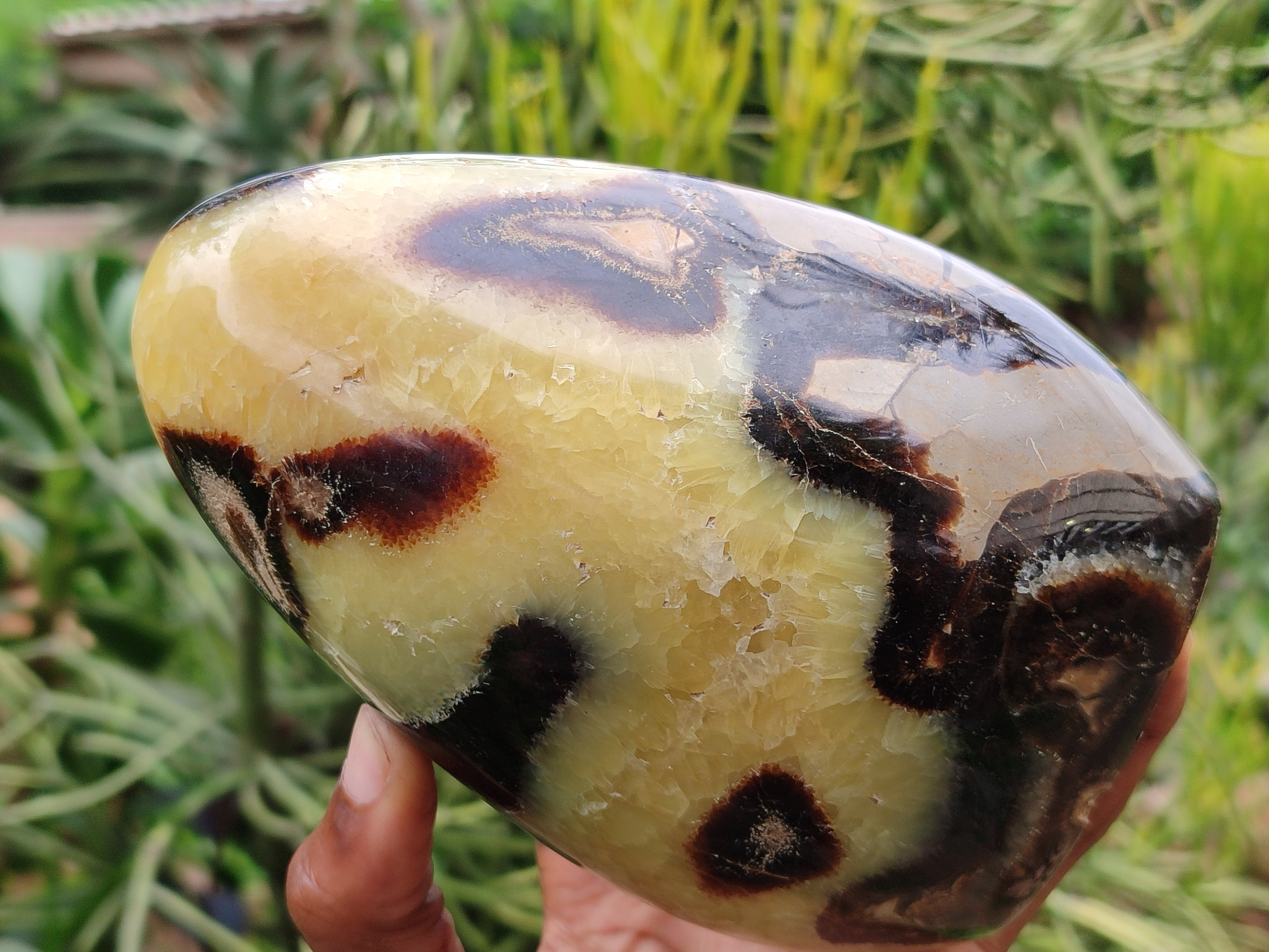 Polished Septerye Standing Free Form x 1 From Mahajanga, Madagascar - Toprock Gemstones and Minerals 