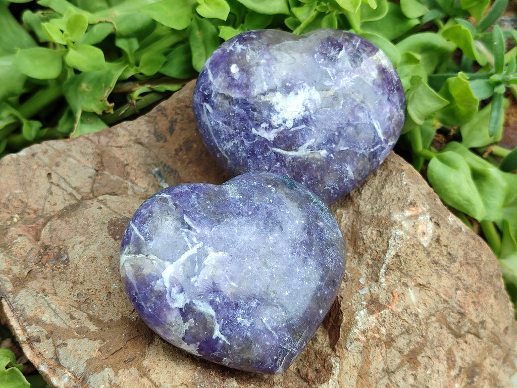 Polished Lepidolite Gemstone Hearts x 6 From Madagascar - Toprock Gemstones and Minerals 
