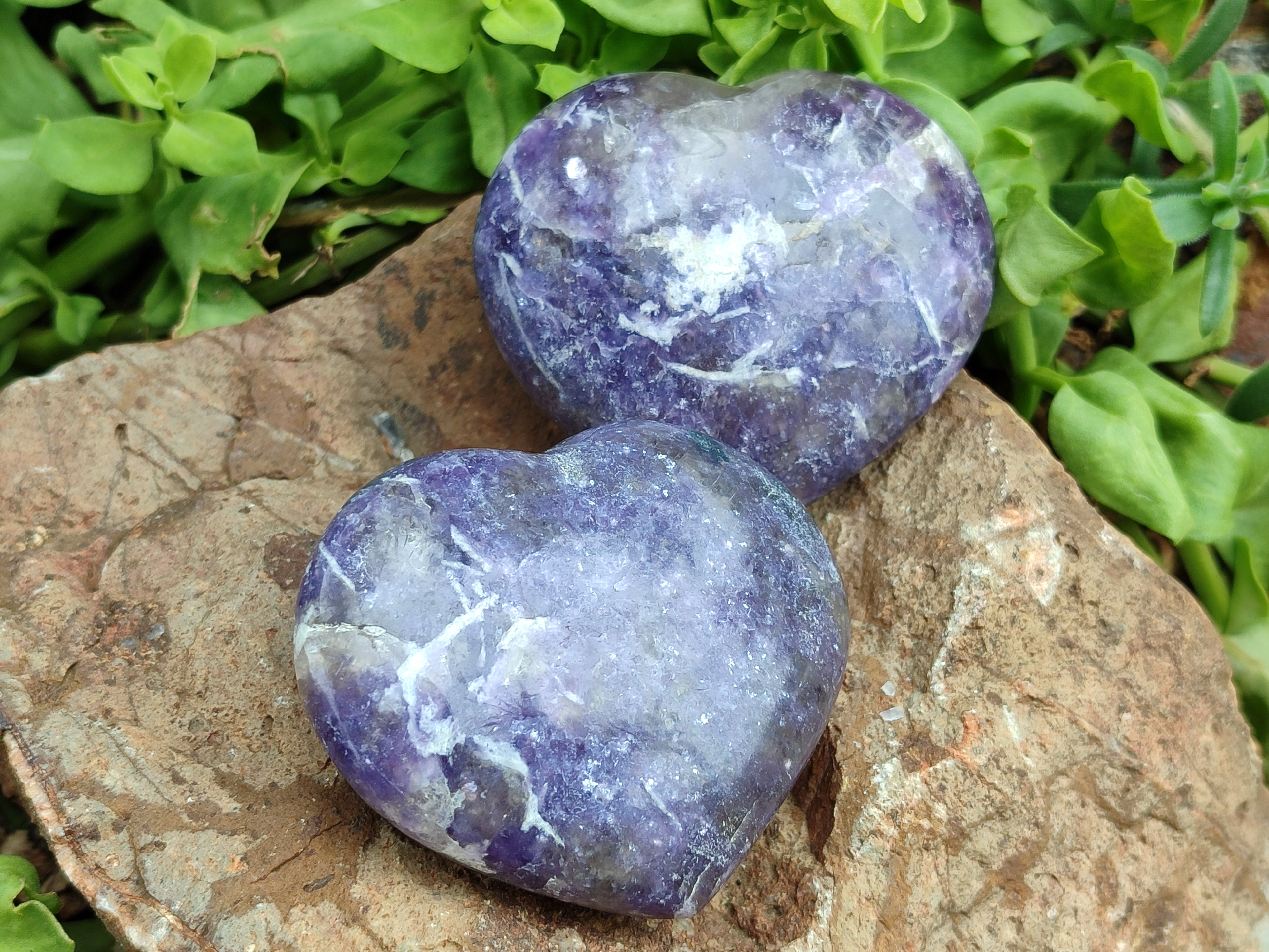 Polished Lepidolite Gemstone Hearts x 6 From Madagascar - Toprock Gemstones and Minerals 