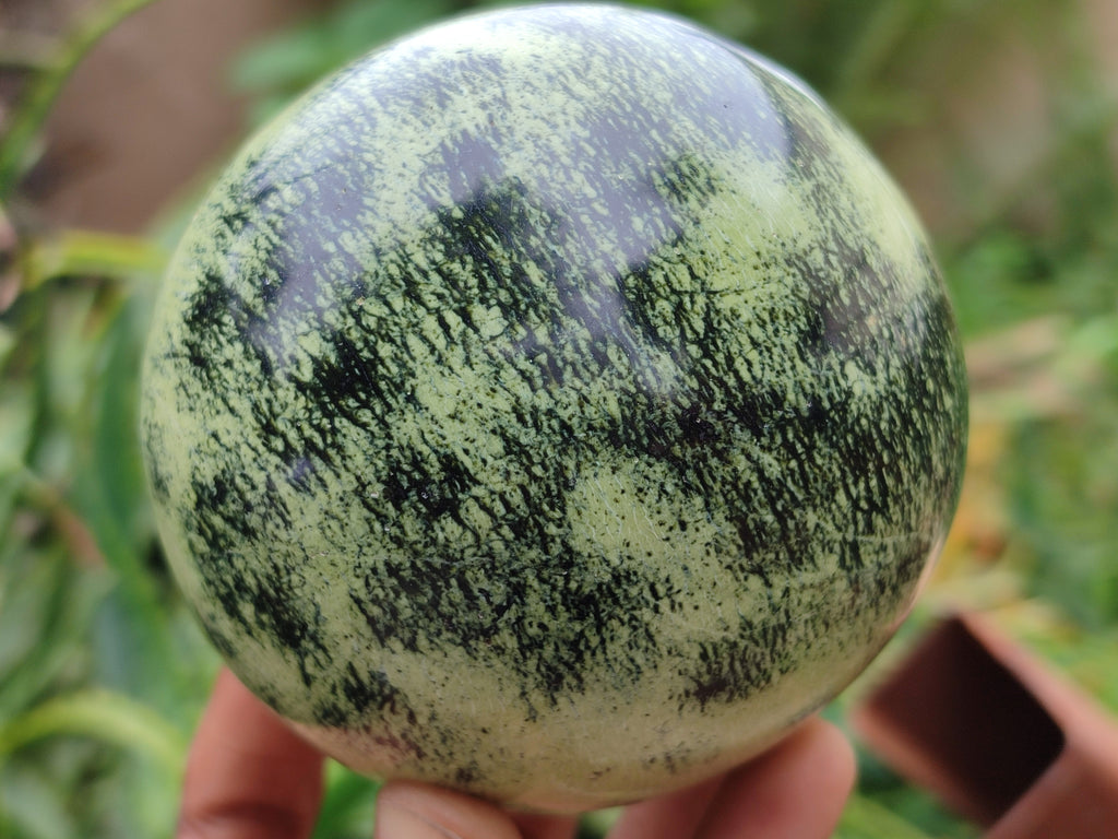 Polished Leopard Stone Spheres x 2 From Nyanga, Zimbabwe - Toprock Gemstones and Minerals 