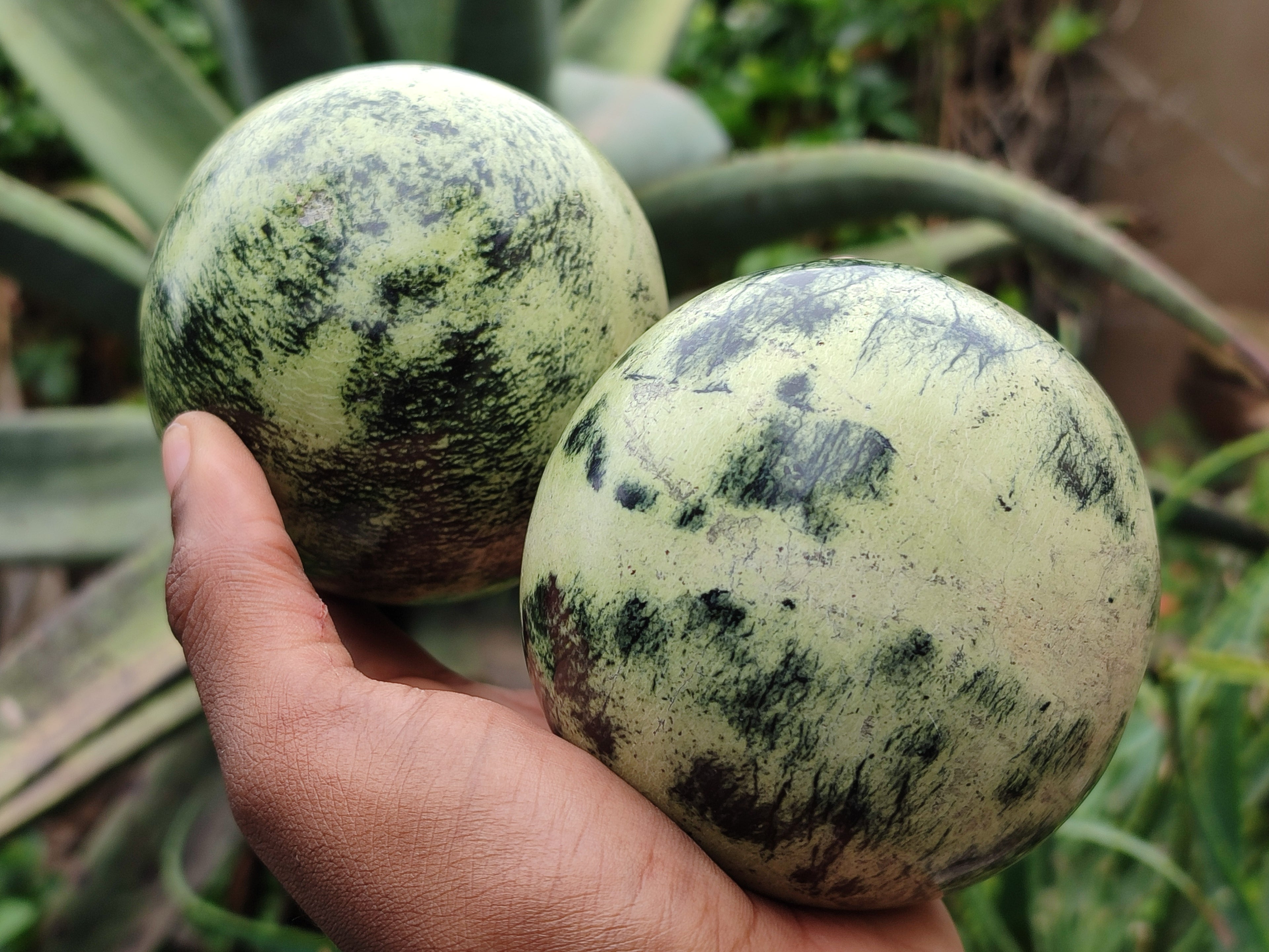 Polished Leopard Stone Spheres x 2 From Nyanga, Zimbabwe - Toprock Gemstones and Minerals 