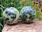 Polished Leopard Stone Spheres x 2 From Nyanga, Zimbabwe - Toprock Gemstones and Minerals 