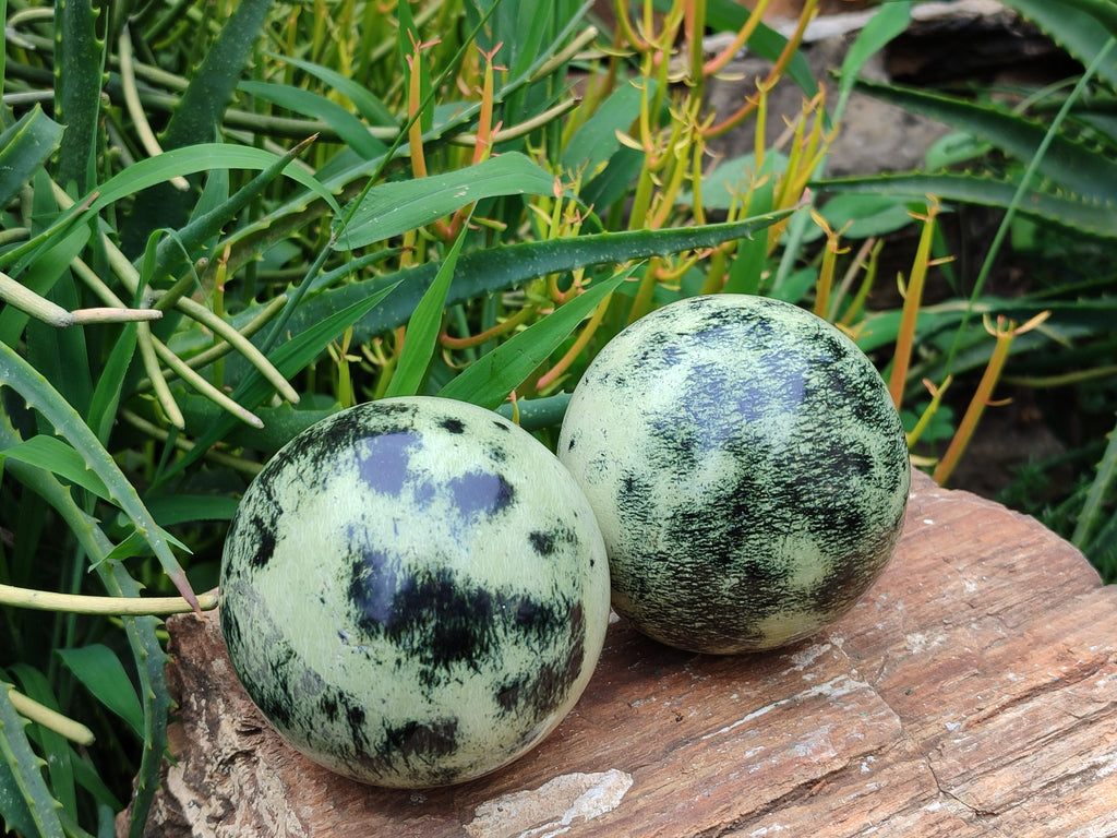 Polished Leopard Stone Spheres x 2 From Nyanga, Zimbabwe - Toprock Gemstones and Minerals 