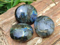Polished Labradorite Palm Stones x 12 From Madagascar - Toprock Gemstones and Minerals 