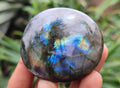 Polished Labradorite Palm Stones x 12 From Madagascar - Toprock Gemstones and Minerals 