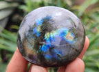 Polished Labradorite Palm Stones x 12 From Madagascar - Toprock Gemstones and Minerals 