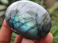 Polished Labradorite Palm Stones x 12 From Madagascar - Toprock Gemstones and Minerals 