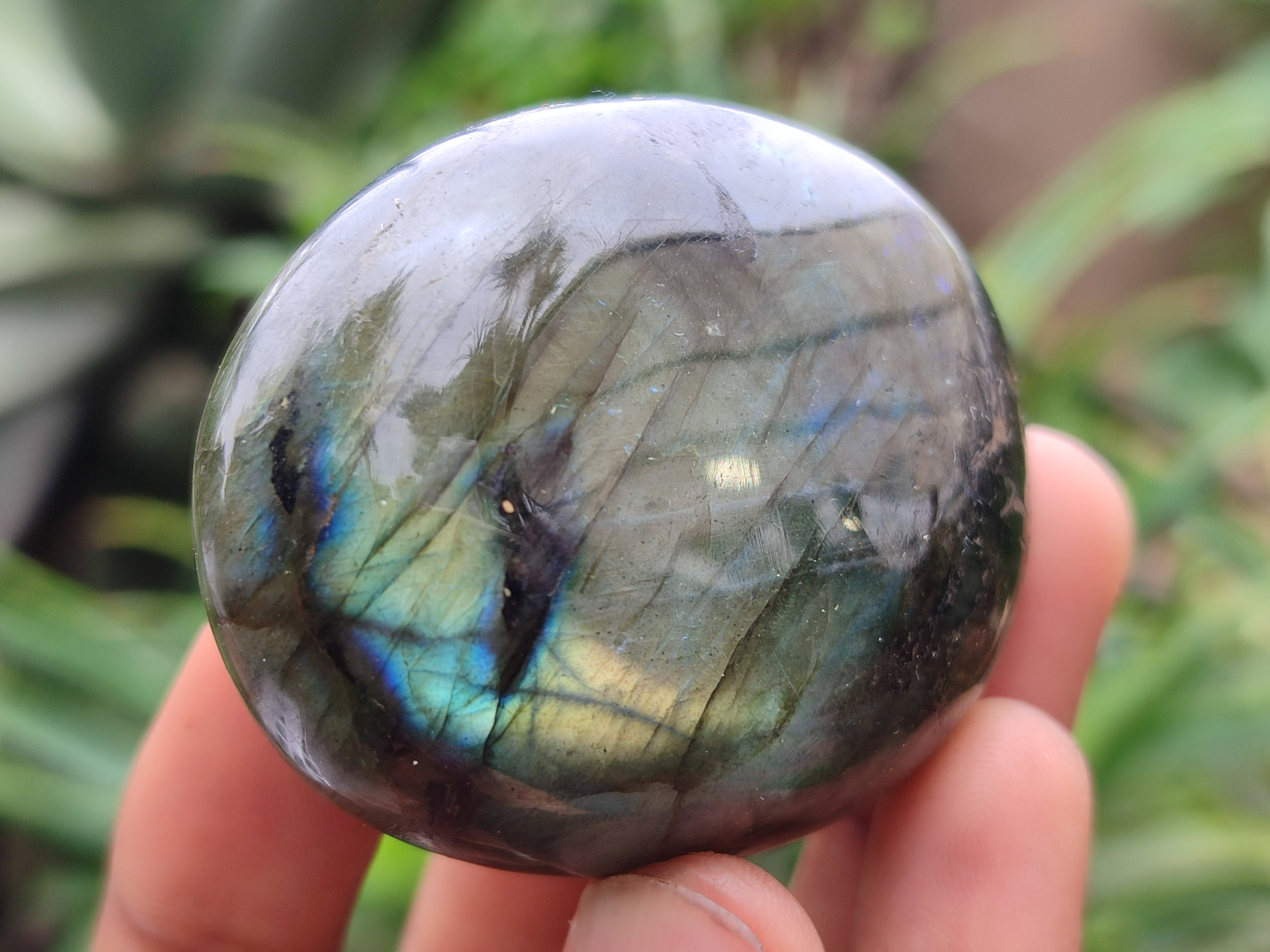 Polished Labradorite Palm Stones x 12 From Madagascar - Toprock Gemstones and Minerals 