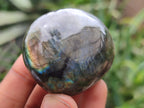 Polished Labradorite Palm Stones x 12 From Madagascar - Toprock Gemstones and Minerals 