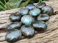 Polished Labradorite Palm Stones x 12 From Madagascar - Toprock Gemstones and Minerals 