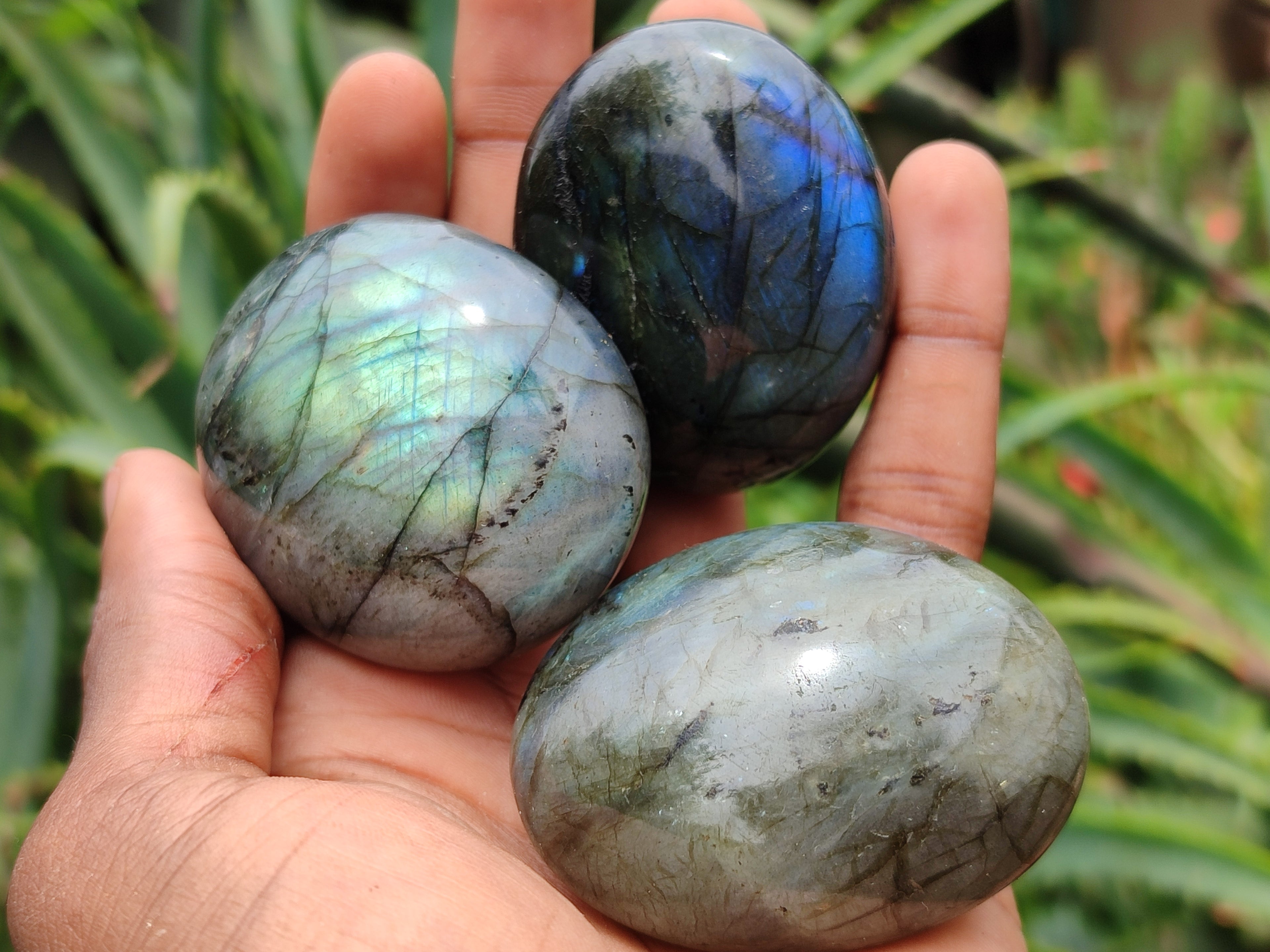 Polished Labradorite Palm Stones x 12 From Madagascar - Toprock Gemstones and Minerals 
