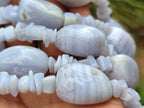 Polished Namibian Blue Lace Agate Mixed Tumble Stone Bead Necklace - Sold per Item- From Namibia - Toprock Gemstones and Minerals 