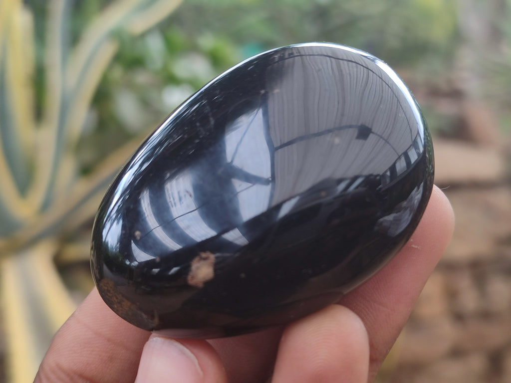 Polished Black Tourmaline Palm Stones x 12 From Madagascar - Toprock Gemstones and Minerals 