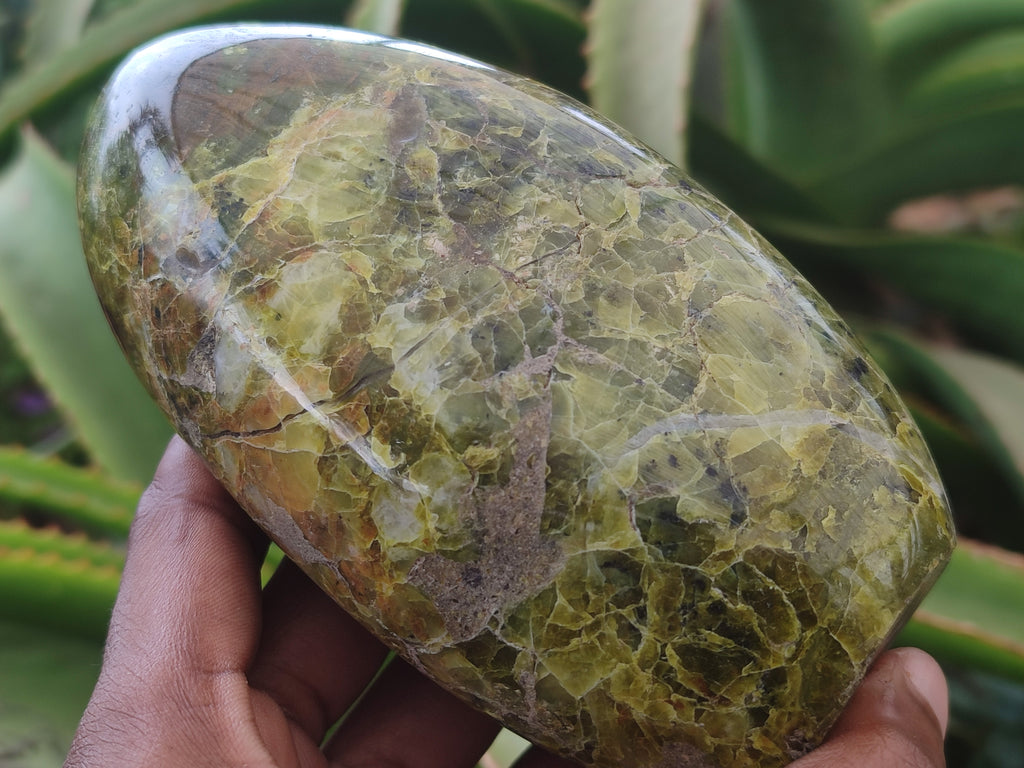 Polished Green Opal Standing Free Forms x 3 From Antsirabe, Madagascar - Toprock Gemstones and Minerals 