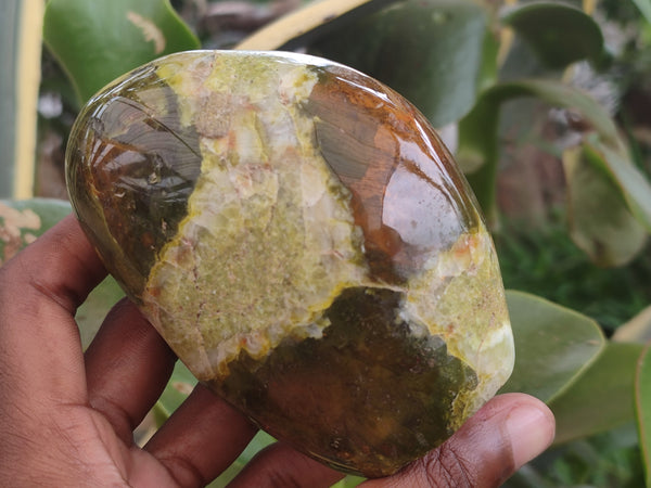 Polished Green Opal Standing Free Forms x 3 From Antsirabe, Madagascar - Toprock Gemstones and Minerals 