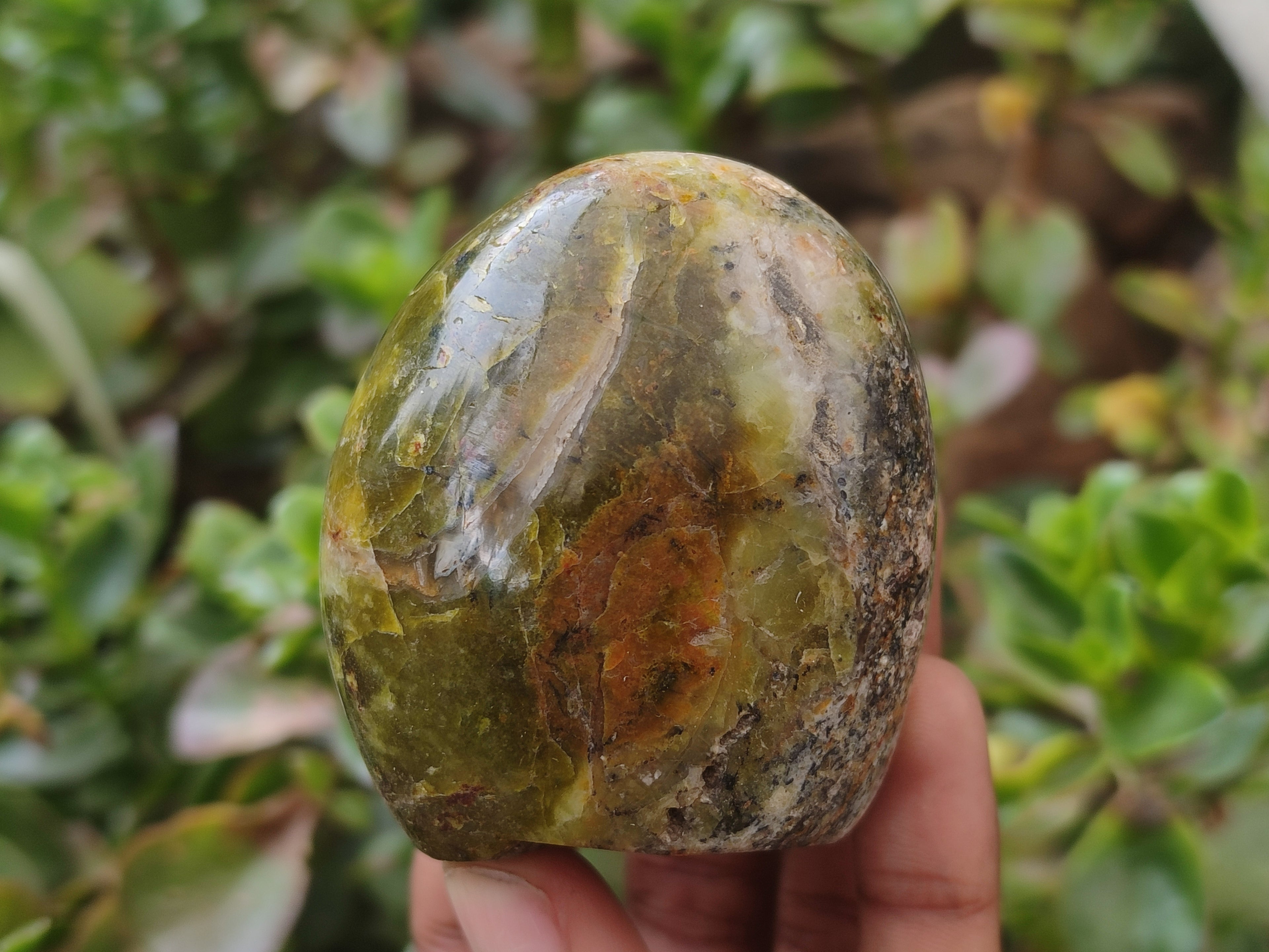 Polished Green Opal Standing Free Forms x 3 From Antsirabe, Madagascar - Toprock Gemstones and Minerals 
