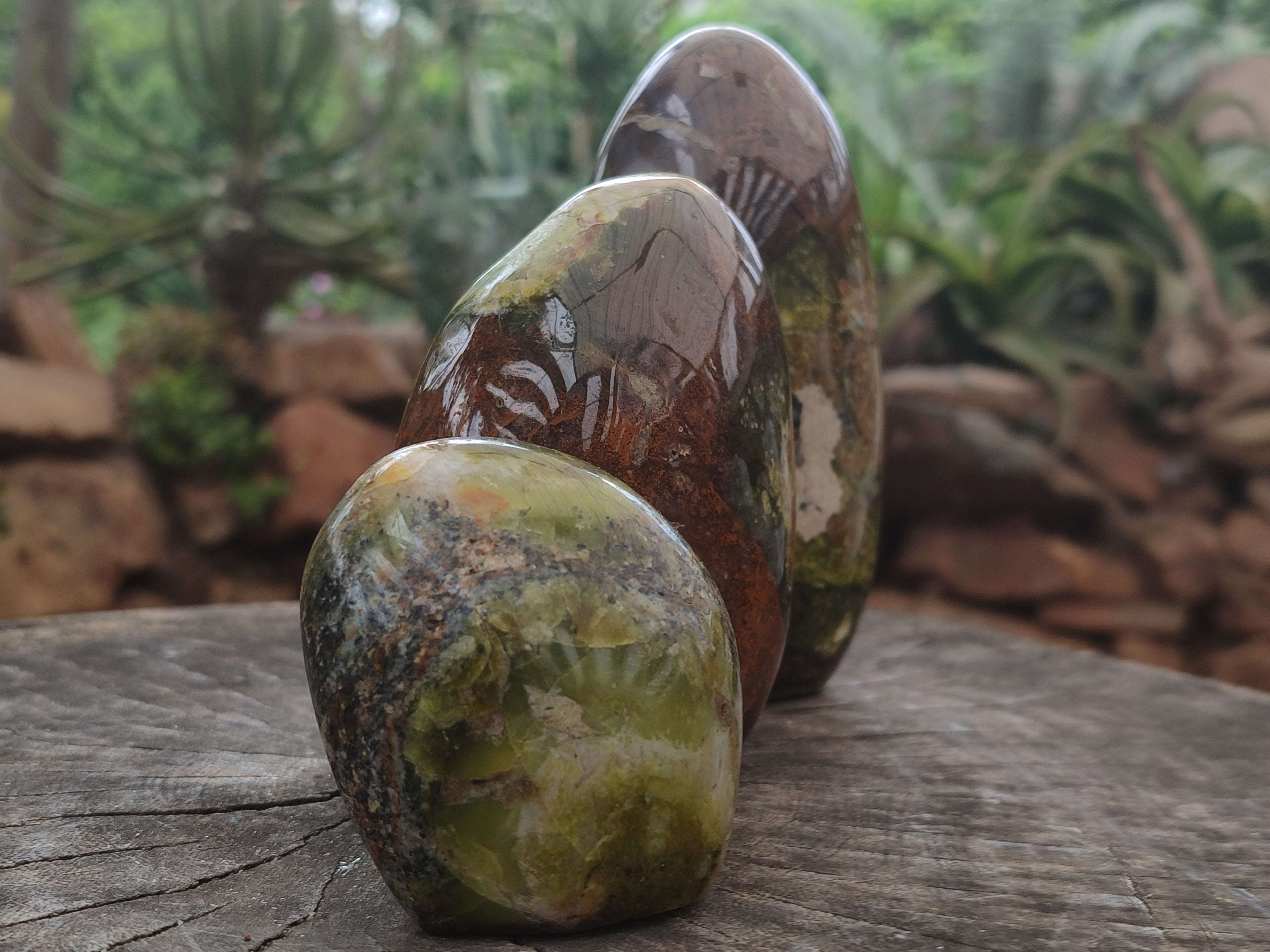 Polished Green Opal Standing Free Forms x 3 From Antsirabe, Madagascar - Toprock Gemstones and Minerals 