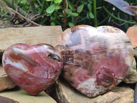 Polished Podocarpus Petrified Hearts x 2 From Mahajanga, Madagascar