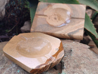 Polished Picture Stone Jasper Ashtrays x 2 From Namibia - Toprock Gemstones and Minerals 