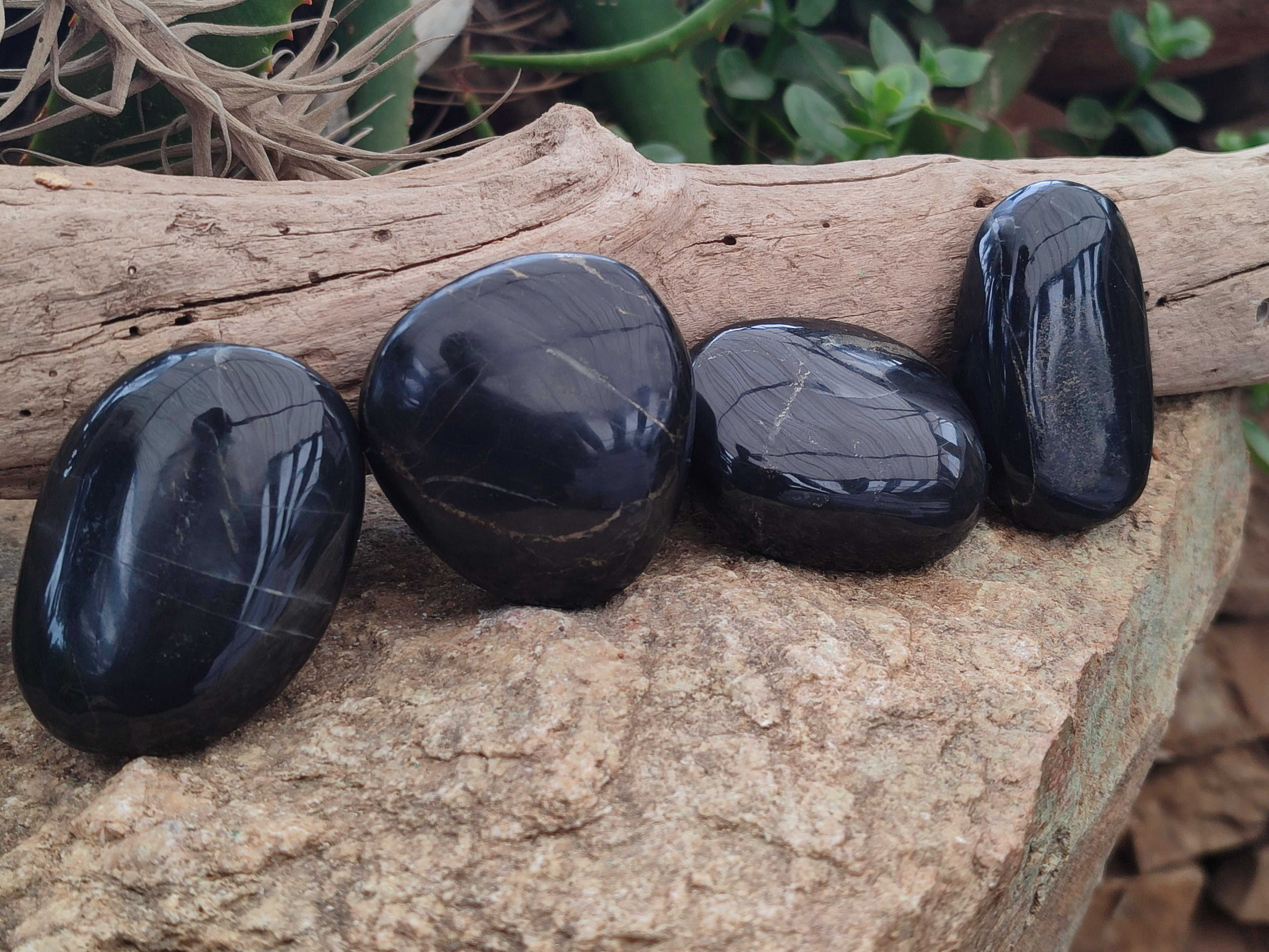 Polished Pharaoh Stone Palm Stones x 12 From Zimbabwe - Toprock Gemstones and Minerals 