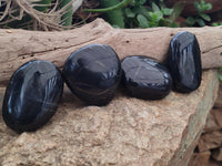 Polished Pharaoh Stone Palm Stones x 12 From Zimbabwe - Toprock Gemstones and Minerals 