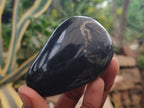 Polished Pharaoh Stone Palm Stones x 12 From Zimbabwe - Toprock Gemstones and Minerals 