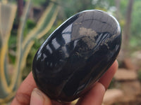 Polished Pharaoh Stone Palm Stones x 12 From Zimbabwe - Toprock Gemstones and Minerals 