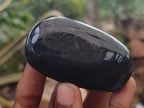 Polished Pharaoh Stone Palm Stones x 12 From Zimbabwe - Toprock Gemstones and Minerals 