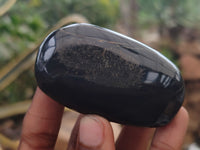 Polished Pharaoh Stone Palm Stones x 12 From Zimbabwe - Toprock Gemstones and Minerals 